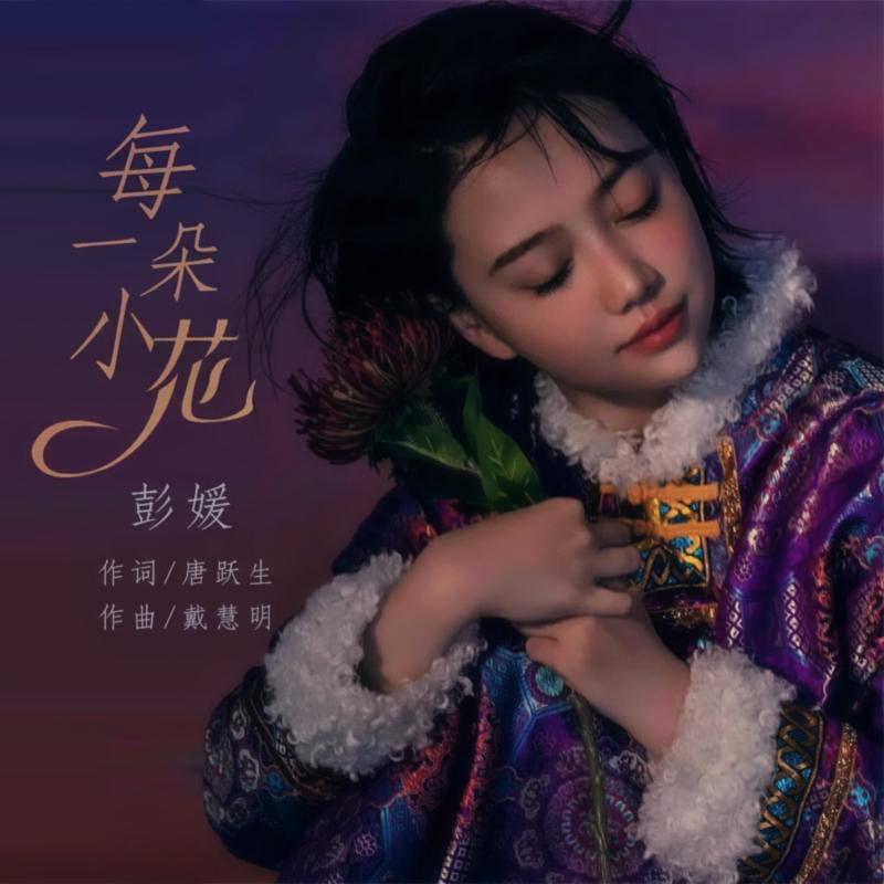 每一朵小花 (伴奏)