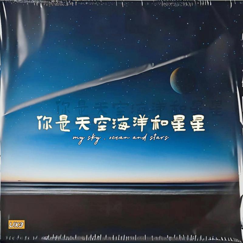 你是天空海洋和星星